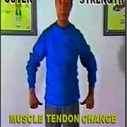 Qigong Internal Work